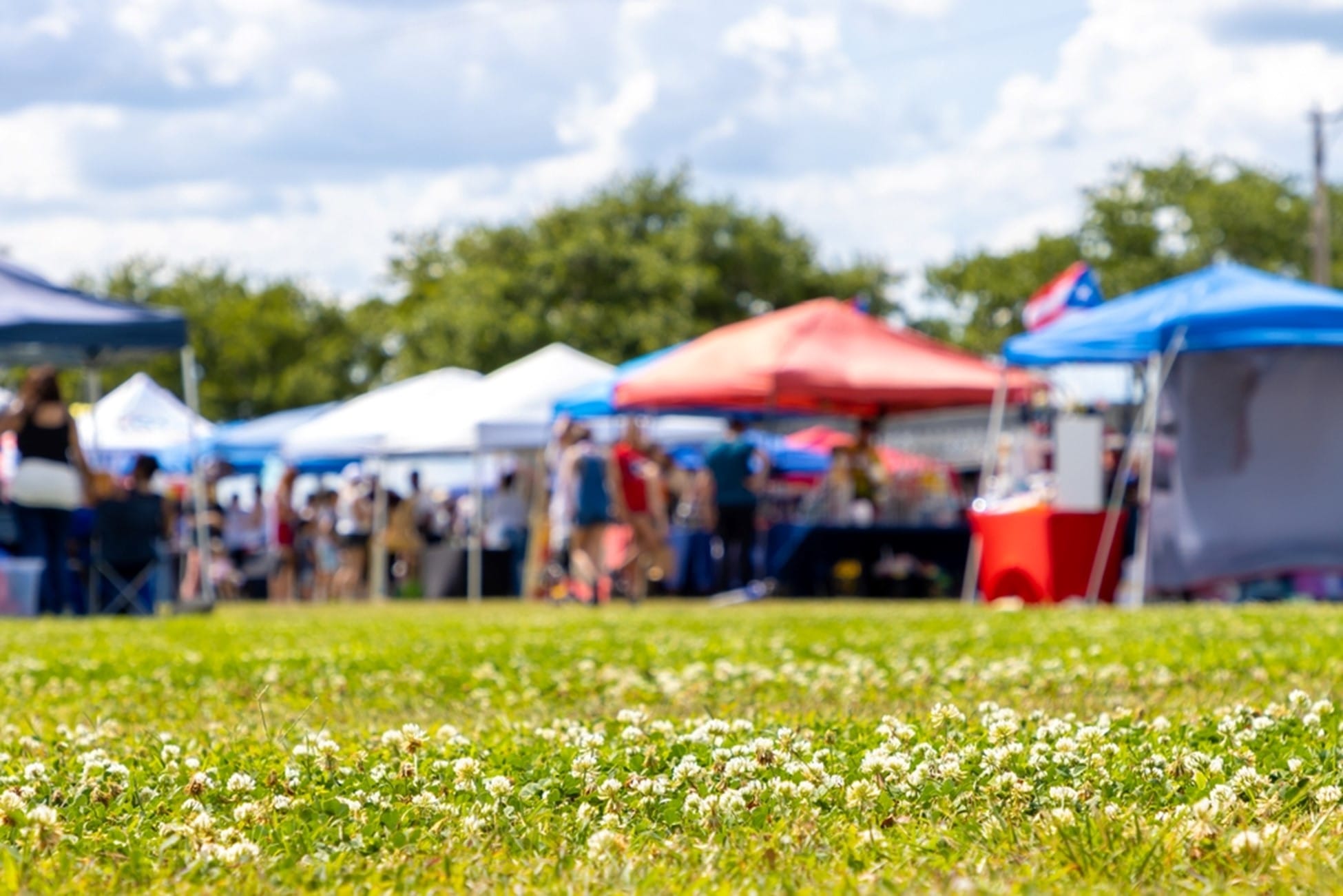 Special Festivals in Sarasota
