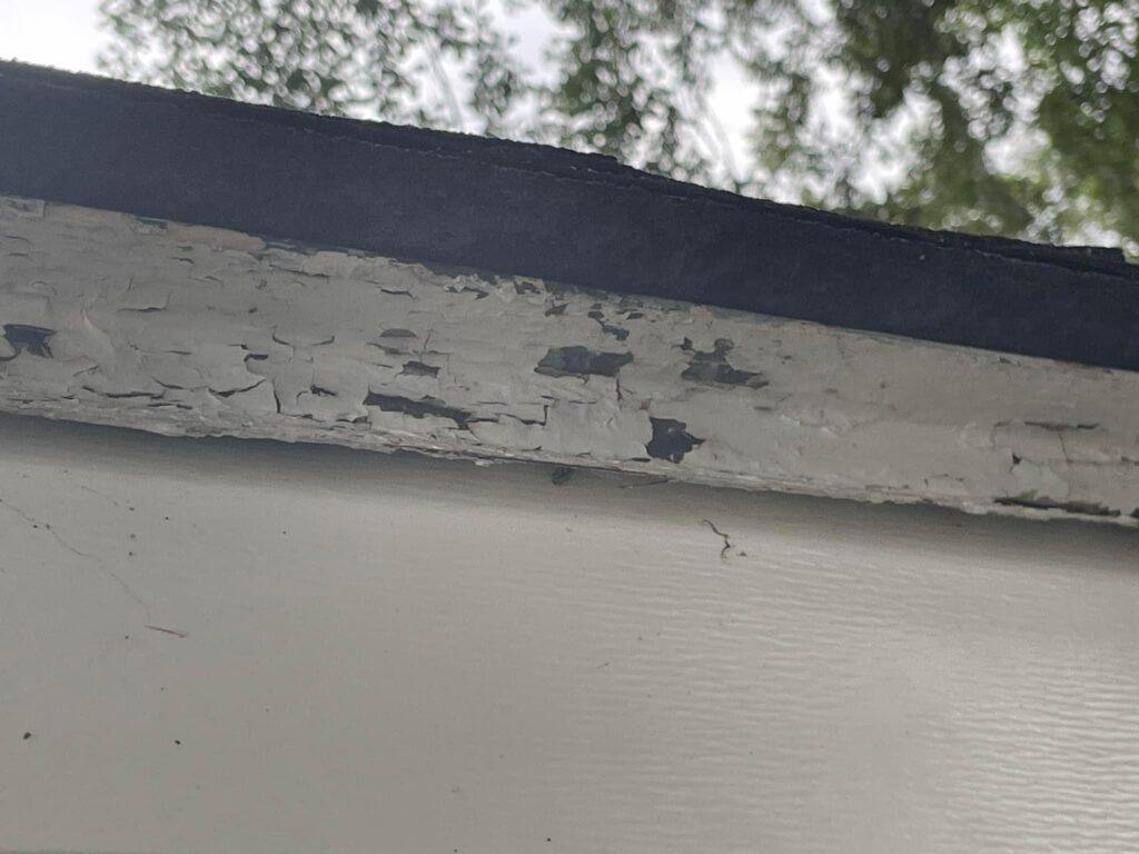 Rot repairing trim replacement in Sarasota county